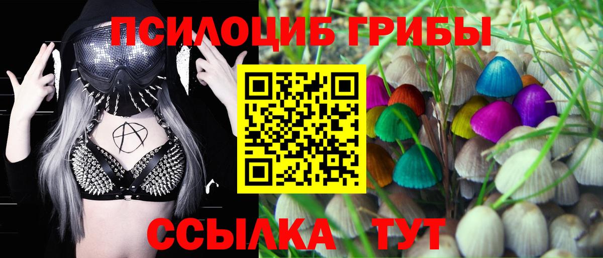 Зеленодольск  Галлюциногенные грибы MAGIC MUSHROOMS  Псилоцибиновые грибы прущие грибы  Вход с VPN 